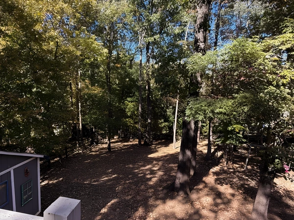 Coliving in College Downs - North Charlotte, Charlotte