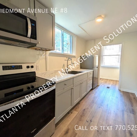 Studio Apartment for rent in Midtown Atlanta - Central Atl, Atlanta