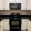 2 bedrooms apartment for rent in University Square - North Tampa, Tampa