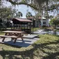 2 bedrooms apartment for rent in Sarasota Springs - Sarasota, Sarasota