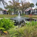 2 bedrooms apartment for rent in Sarasota Springs - Sarasota, Sarasota
