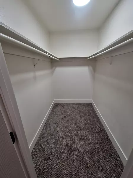 Coliving in Las Vegas - Las Vegas, Las Vegas