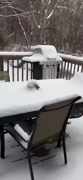 Coliving in Readville - Boston, Boston