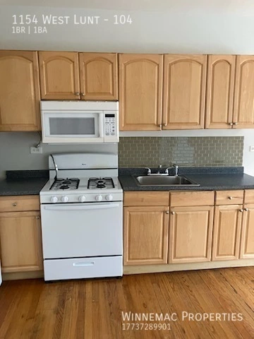 1 bedroom apartment for rent in Rogers Park - Far North Side, Chicago