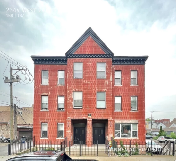 1 bedroom apartment for rent in Lower West Side - West Side, Chicago