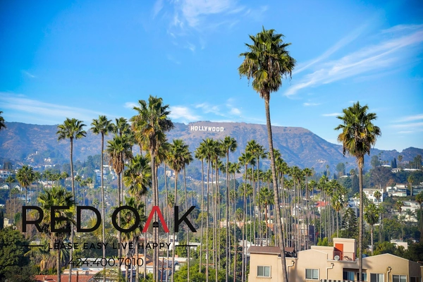 1 bedroom apartment for rent in Hollywood - Central Los Angeles, Los Angeles