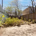Coliving in Fort Greene - Brooklyn, New York