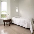Coliving in Flatbush Ditmas Park - Brooklyn, New York