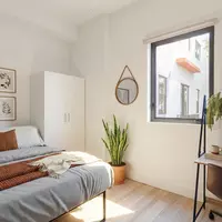Coliving in Downtown Miami - Miami, Miami