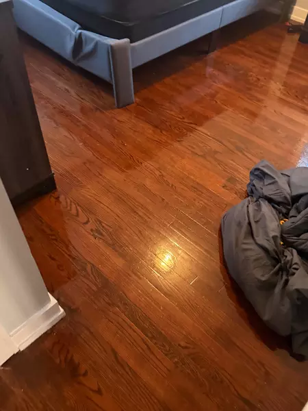 Coliving in Beverly - Far Southwest Side, Chicago