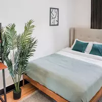 Coliving in Harlem - Manhattan, New York