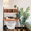 Coliving in Harlem - Manhattan, New York