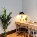 Coliving in South Boston - Boston, Boston