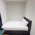 Coliving in Morningside Heights - Manhattan, New York
