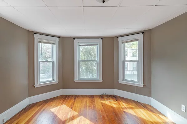 Coliving in Davis Square - Somerville, Boston