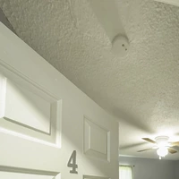 Coliving in Orlovista - West Orlando, Orlando