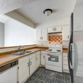 2 bedrooms apartment for rent in Westchase - West Houston, Houston