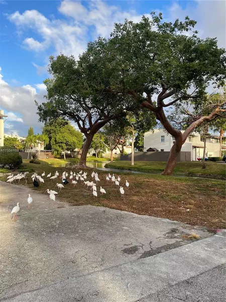 4 bedrooms apartment for rent in Kendall - Miami Dade, Miami