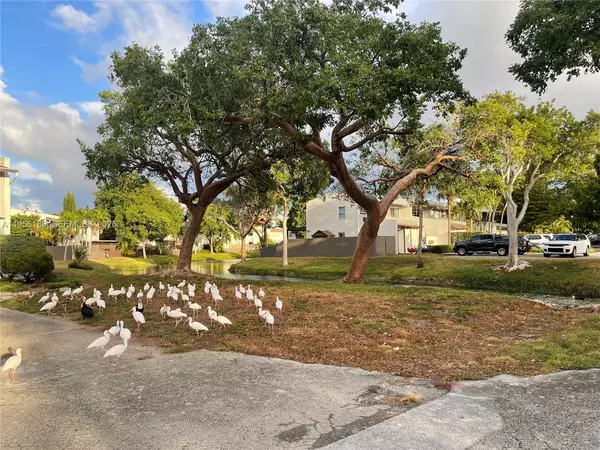 4 bedrooms apartment for rent in Kendall - Miami Dade, Miami