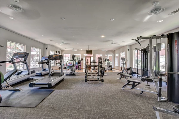 1 bedroom apartment for rent in Uptown - West Houston, Houston