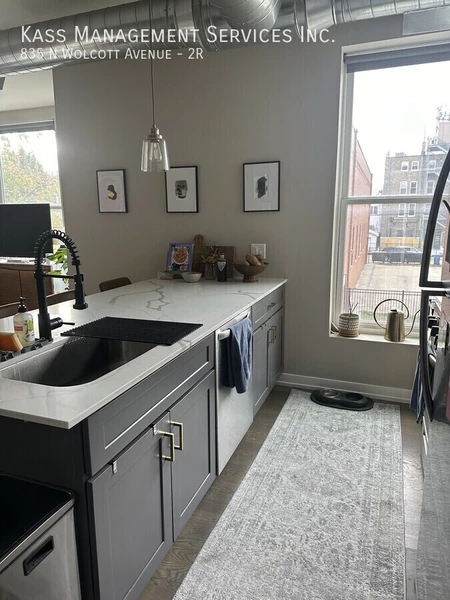 2 bedrooms apartment for rent in West Town - West Side, Chicago
