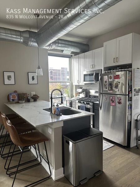2 bedrooms apartment for rent in West Town - West Side, Chicago