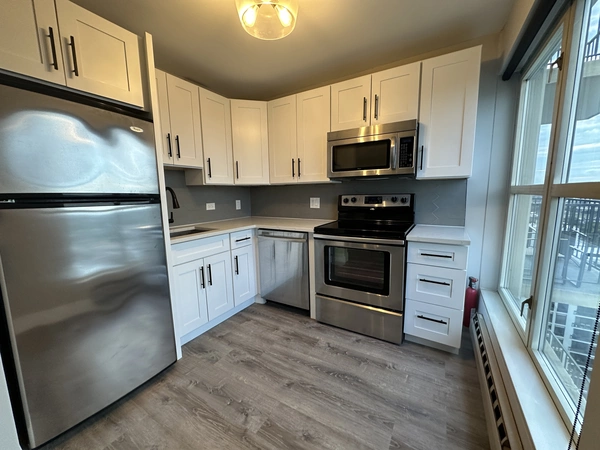 1 bedroom apartment for rent in Near North Side - Central, Chicago