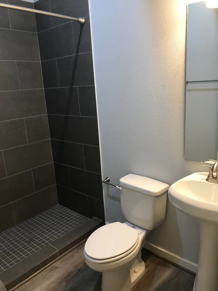 1 bedroom apartment for rent in Greater Third Ward - Inner Loop, Houston