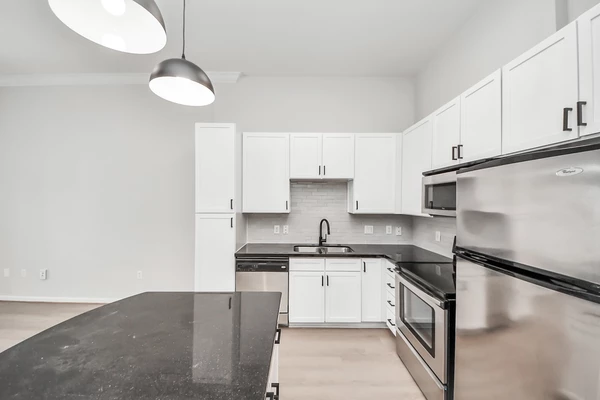 1 bedroom apartment for rent in Hunter Creek Village - West Houston, Houston