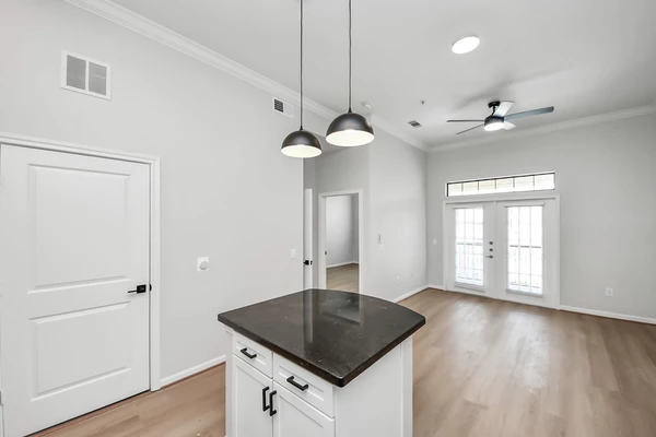 1 bedroom apartment for rent in Hunter Creek Village - West Houston, Houston