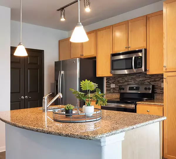 1 bedroom apartment for rent in Downtown Austin - Central Austin, Austin