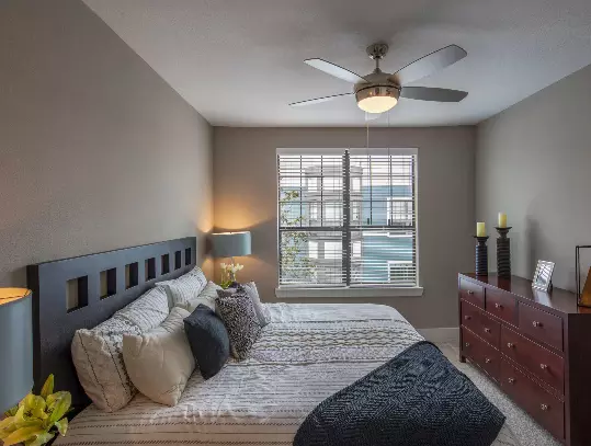1 bedroom apartment for rent in Central East Austin - East Austin, Austin