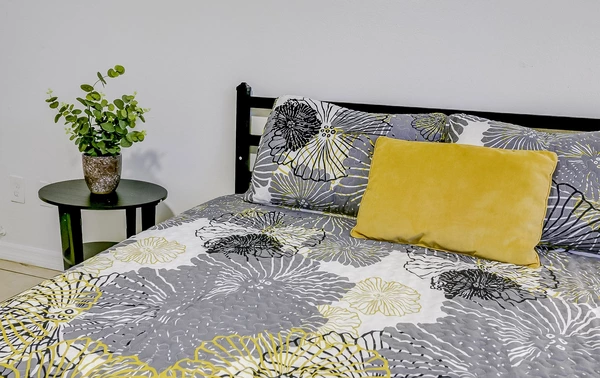 Coliving in Sulphur Springs - North Tampa, Tampa