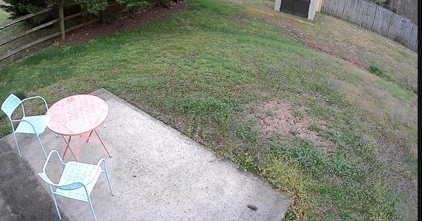 Coliving in Coulwood West - West Charlotte, Charlotte