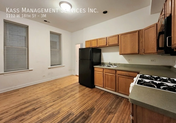 2 bedrooms apartment for rent in Lower West Side - West Side, Chicago