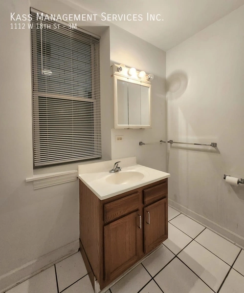 2 bedrooms apartment for rent in Lower West Side - West Side, Chicago