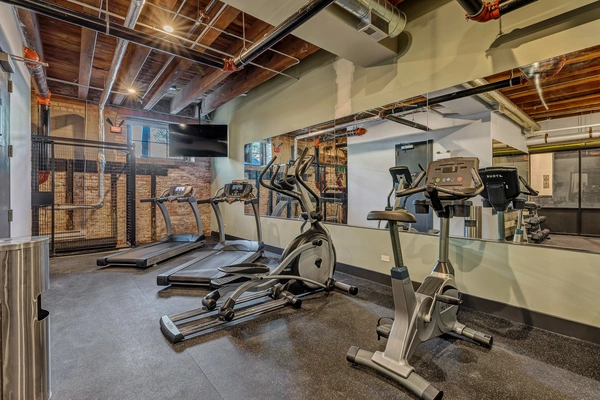 1 bedroom apartment for rent in River West - Central, Chicago