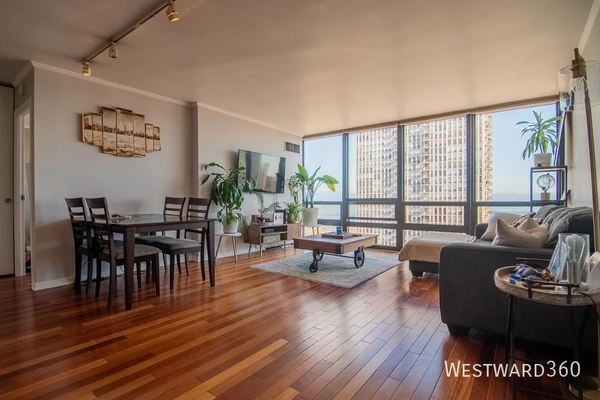 1 bedroom apartment for rent in Gold Coast - Central, Chicago