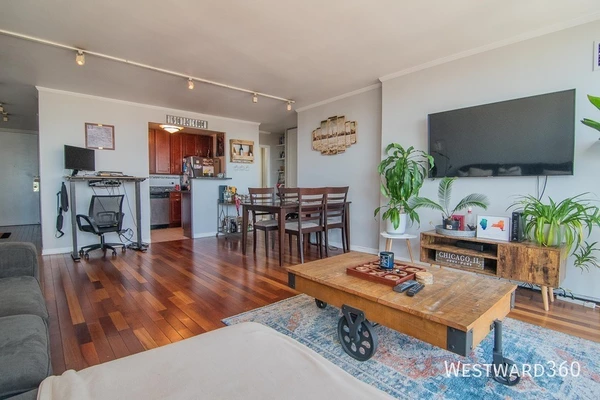 1 bedroom apartment for rent in Gold Coast - Central, Chicago