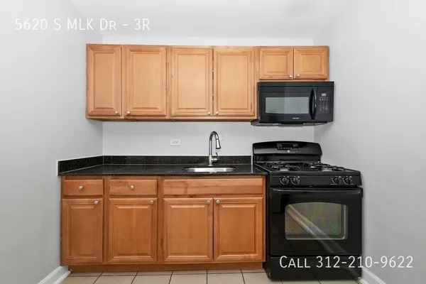 1 bedroom apartment for rent in Woodlawn - South Side, Chicago