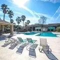 1 bedroom apartment for rent in University of Florida - Downtown Gainesville, Gainesville