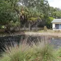 2 bedrooms apartment for rent in Sarasota - Sarasota, Sarasota