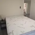 Coliving in Coliseum Willow Park - East SATX, San Antonio