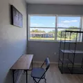 Coliving in Live Oaks Square - East Tampa, Tampa