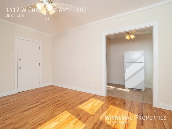 Studio Apartment for rent in Rogers Park - Far North Side, Chicago