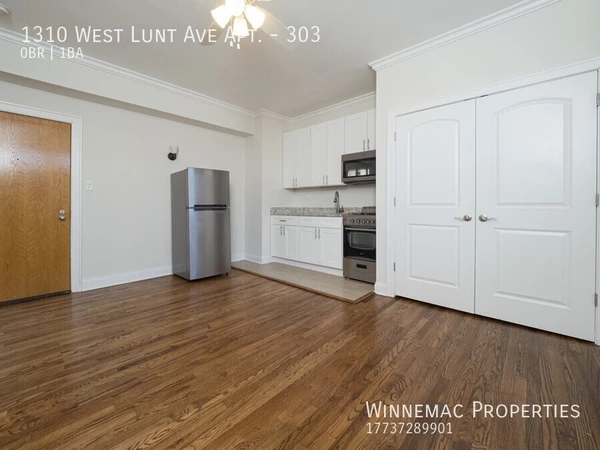 Studio Apartment for rent in Rogers Park - Far North Side, Chicago