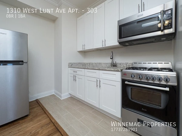Studio Apartment for rent in Rogers Park - Far North Side, Chicago