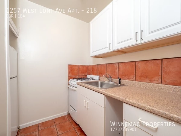 Studio Apartment for rent in Rogers Park - Far North Side, Chicago