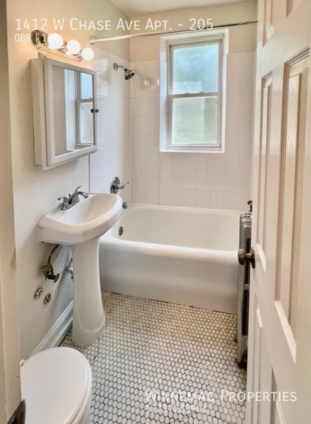 Studio Apartment for rent in Rogers Park - Far North Side, Chicago