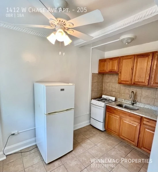 Studio Apartment for rent in Rogers Park - Far North Side, Chicago